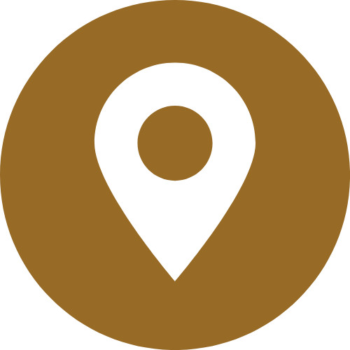 pin icon